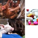 초원동물약품 이미지