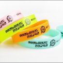 한국체대 비호태권도 이미지