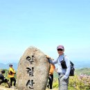 일림 Daum카페