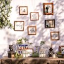 뉴욕뉴욕 이미지