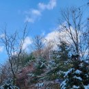 Let’s Learn About Earth | [God, Me, and You God 164] About occupations and spirit majors on Earth.