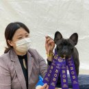 라온제나 이미지