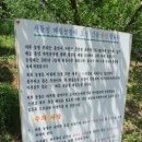 산들청 매실농장