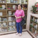 가든이용소 이미지