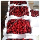 왕산농장 이미지