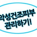 내사랑피부