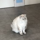 페츠온 동물병원 이미지