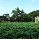 미암박물관 이미지