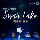 해설이 있는 발레 <백조의 호수> 이미지