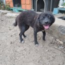 거석경로당 이미지