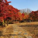 서곶근린공원 축구장 이미지