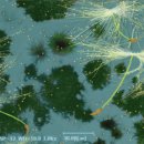 충남대학교 분석과학기술대학원 이미지