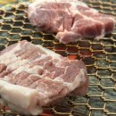 산호동120 이미지