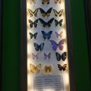 나들이어린이공원 이미지