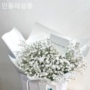 민들레살롱