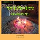 동강1박2일민박 | [정선] 위생에 깐깐한 에어비앤비 고수가 추천하는 동강할미꽃펜션(아둘 가족여행)