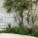 사림동177 이미지