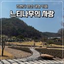 여락송정로 | [경남/양산] 라벤더 야외 카페 '느티나무의 사랑' 내돈내산 후기