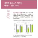 HK생활건강 이미지