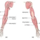 클린짐휘트니스 이미지