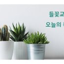 2026년 07월 28일 (화) 제목 : 엘리야와 바알 선지자들 오늘의 말씀 : 열왕기상 18:16-29 이미지