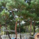 해여림유치원 이미지