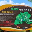 태장체육단지 이미지