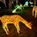 부여생활사박물관 이미지