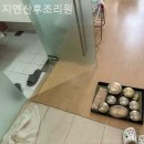 지엔산후조리원 이미지