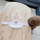 쭈니네핸드메이드 하네스단품 구입 후기