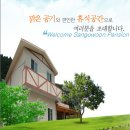 산고운펜션 Daum카페