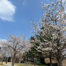 녹수청산 이미지