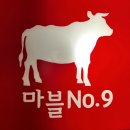 마블넘버나인 이미지