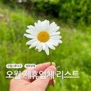 오월스튜디오 제휴업체 리스트