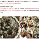 부성수산 네이버블로그