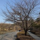 호수당구클럽 이미지