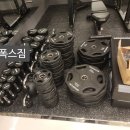 폭스짐 휘트니스 이미지