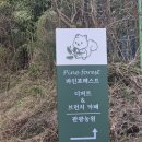 세븐일레븐 울산언양스마트점 | [언양]울산 대형 카페 파인포레스트 경치 좋은 한식 브런치 디저트 맛집ㅣ어른 모시고 가기 좋은 카페