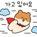 씨네마안경원 이미지