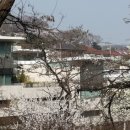 발해전자 이미지