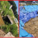 종합운동장본부석 이미지