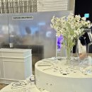 헐리우드 이미지