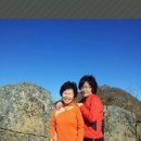 황매산가든 이미지