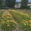 상산농장 이미지