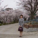 해운대중학교 이미지