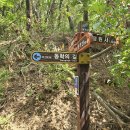 여강길(11코스 동학의길) 이미지