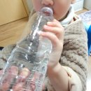 제주 삼다수유통 | 제주삼다수 그린, 500ml, 40개 -내돈내산 후기 !!