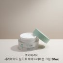 와이비케이