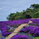 이화 행정사 사무소 이미지