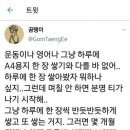 돌마로 이미지